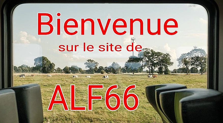 Image frontale