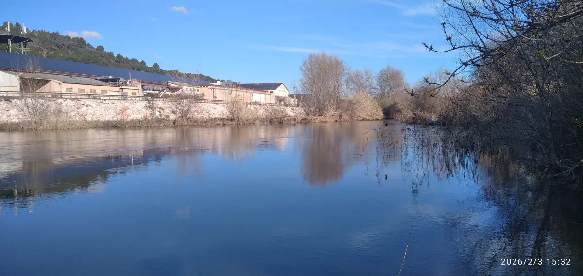 IMG_20260203_153237_1