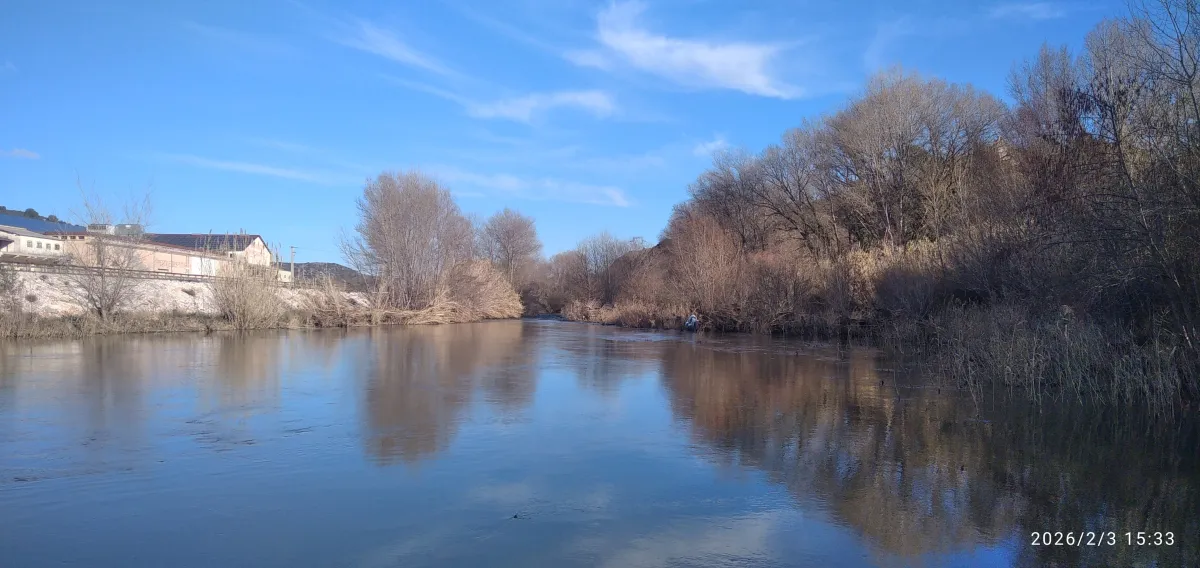 IMG_20260203_153316_1