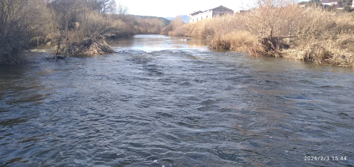 IMG_20260203_154450_1